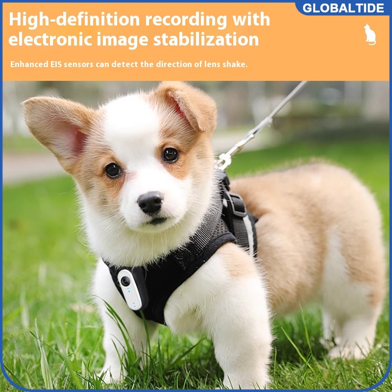 Outdoor Adventure Video - Waterproof Mini Body Camera for Dogs